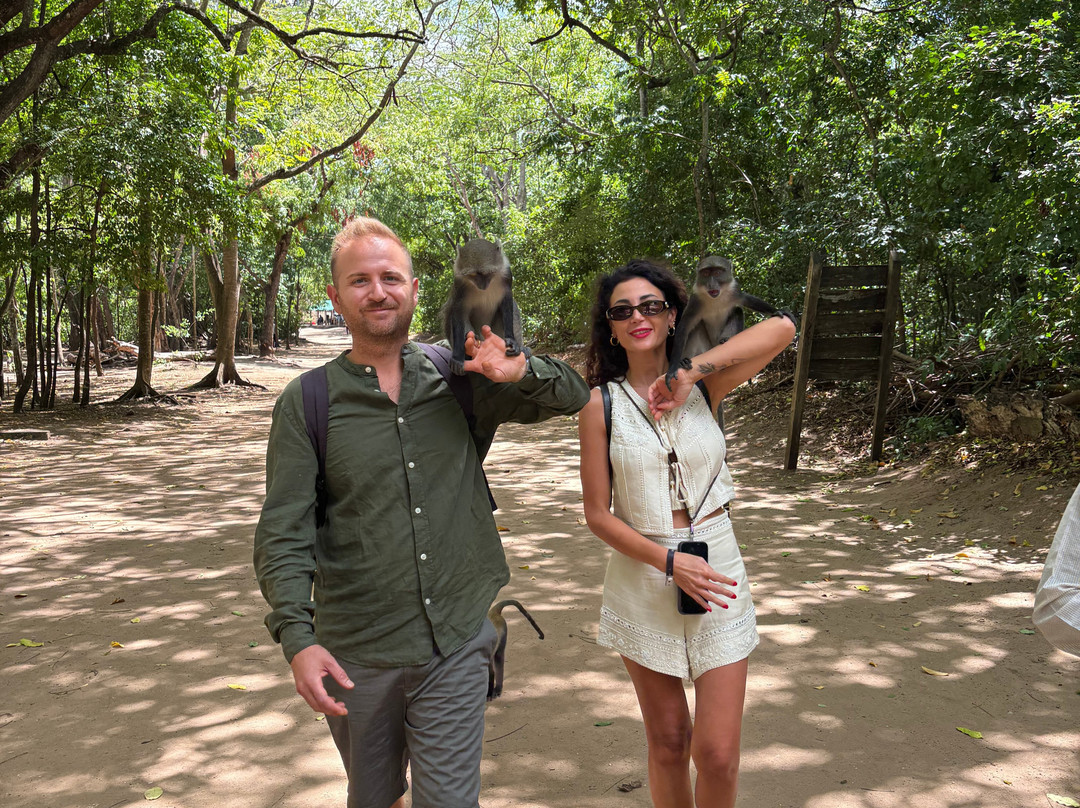 Gattokko - Safari e Tours in Kenya-瓦塔木必去景点