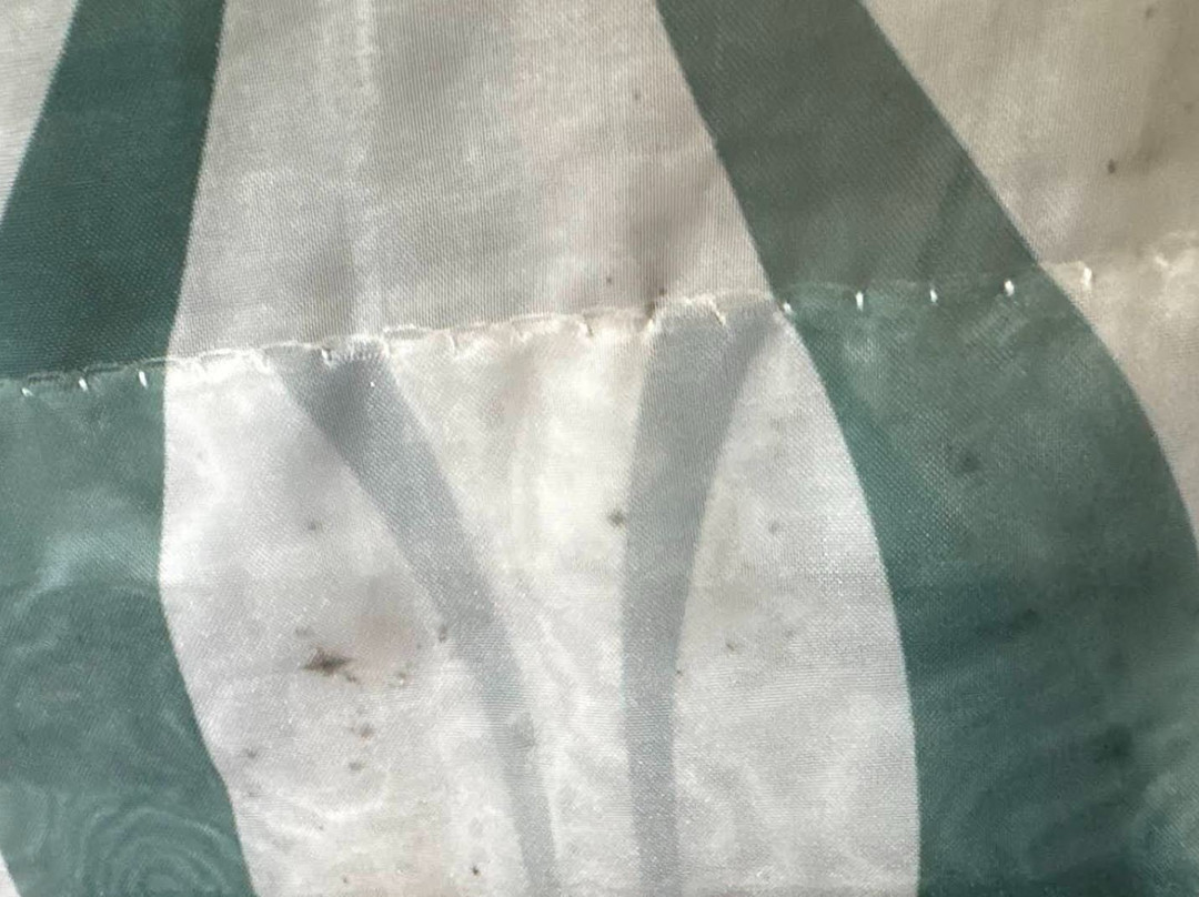 辛辛那东北梅森拉昆塔温德姆套房酒店主图