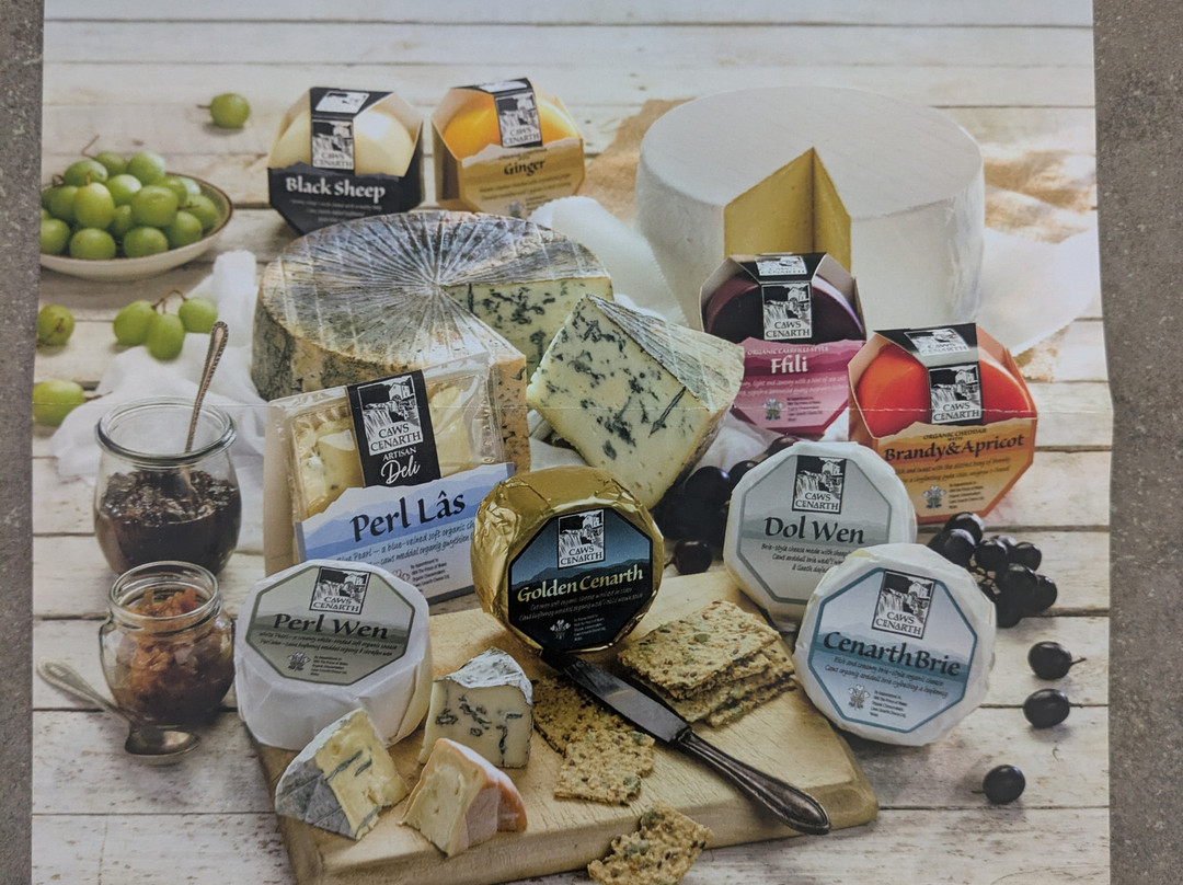 Caws Cenarth Cheese-Cenarth必去景点