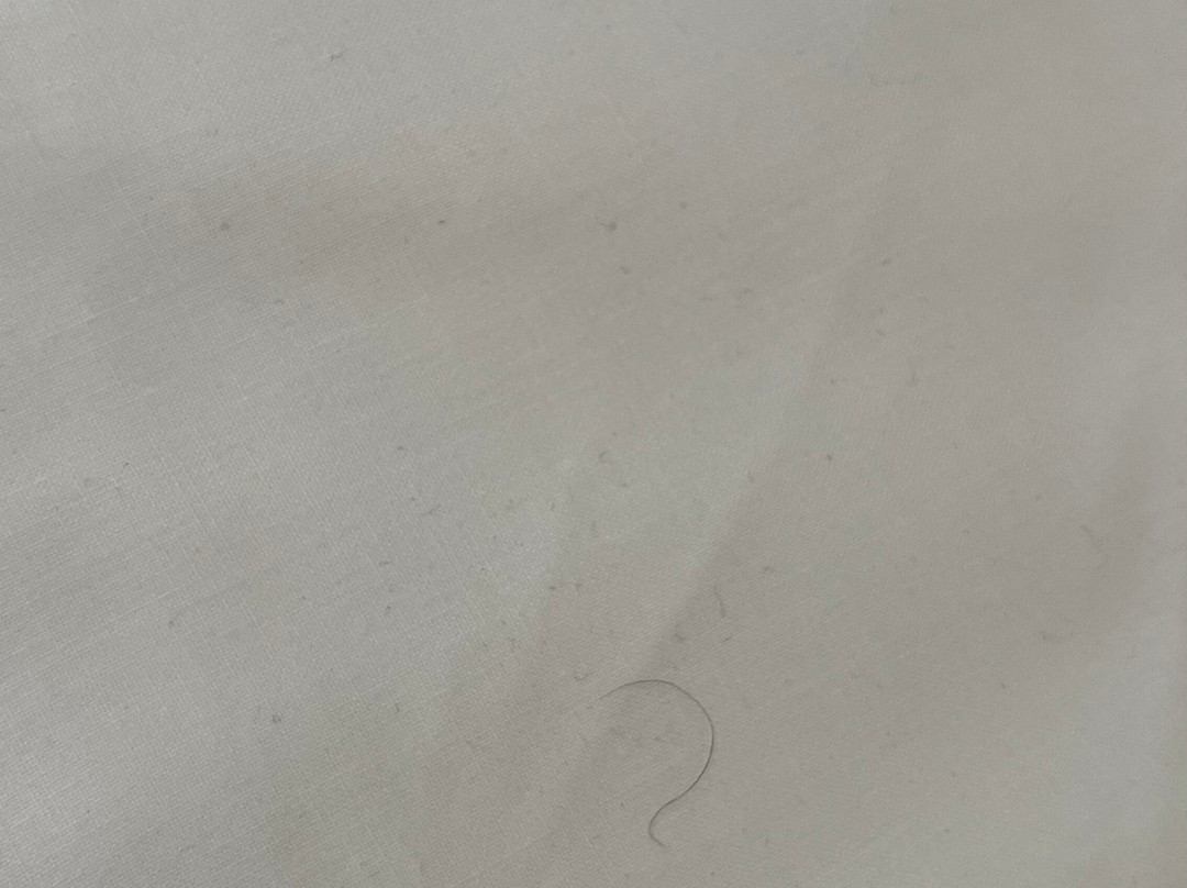 梅德巴赫温特贝格绍厄兰中心公园酒店主图
