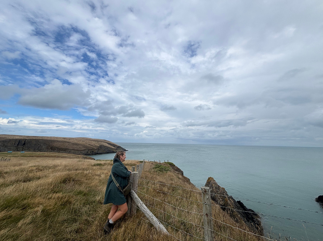 Cardigan Island Coastal Farm Park-Cardigan必去景点