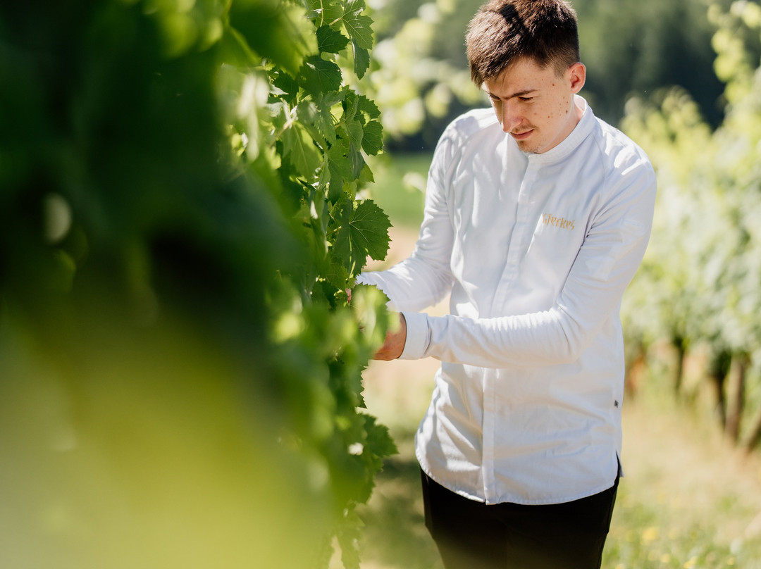 Posestvo Gjerkes - Winery, Restaurant, Rooms-Rogasovci必去景点