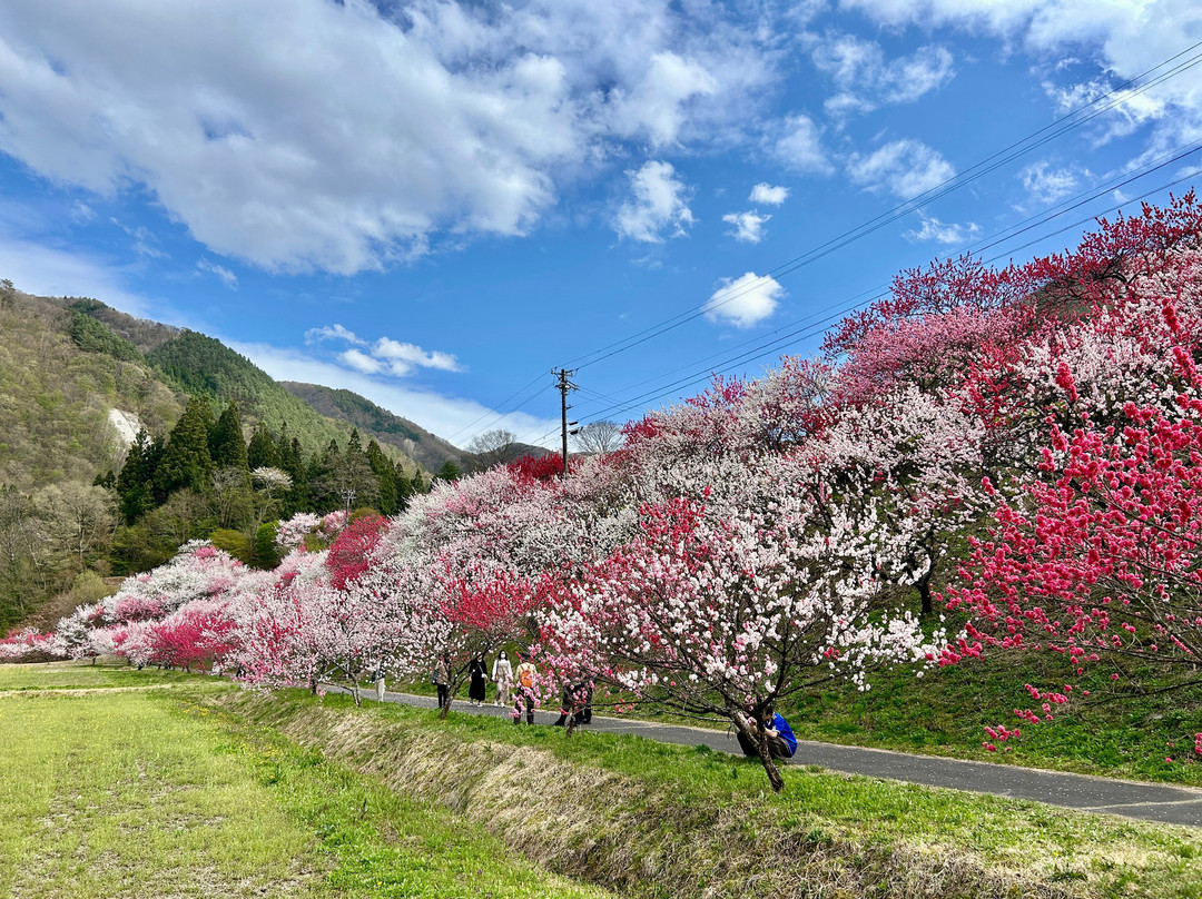 Hanamachi no Sato-阿智村必去景点