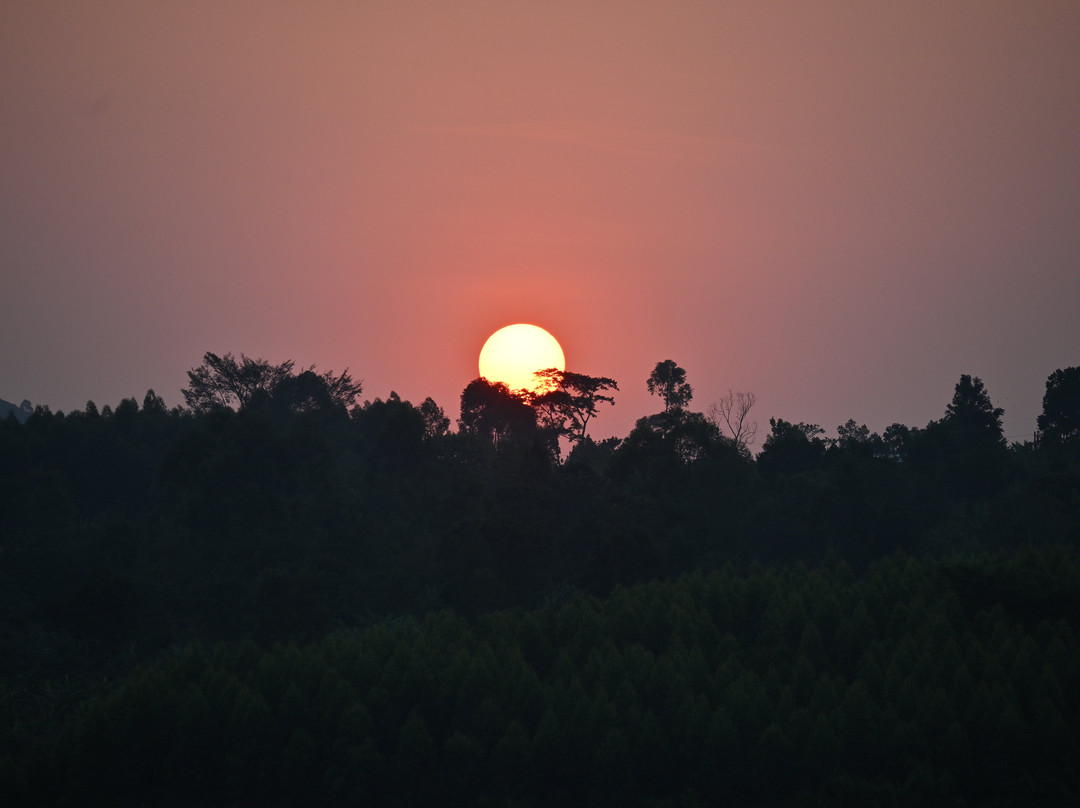 Rwizi Africa Expeditions-坎帕拉必去景点