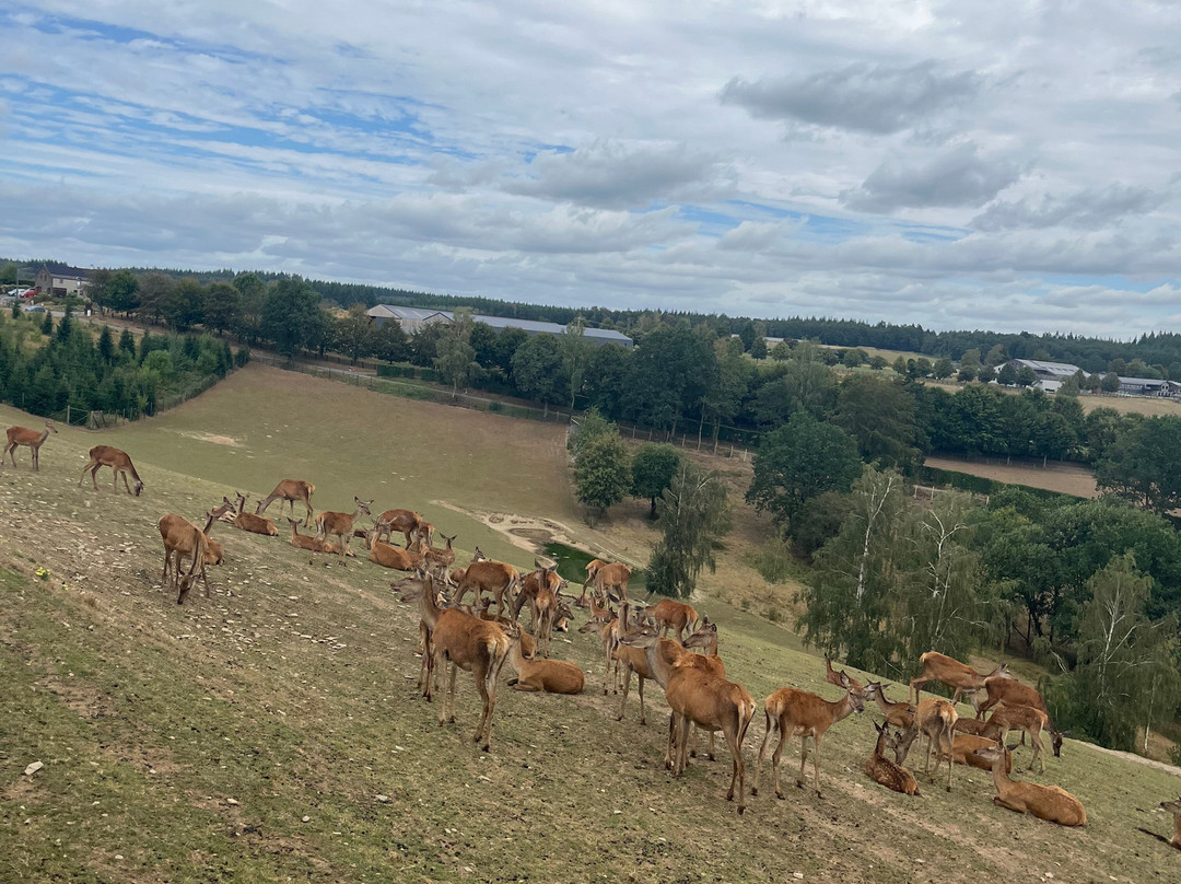 Parc Animalier De Rochehaut-Rochehaut必去景点