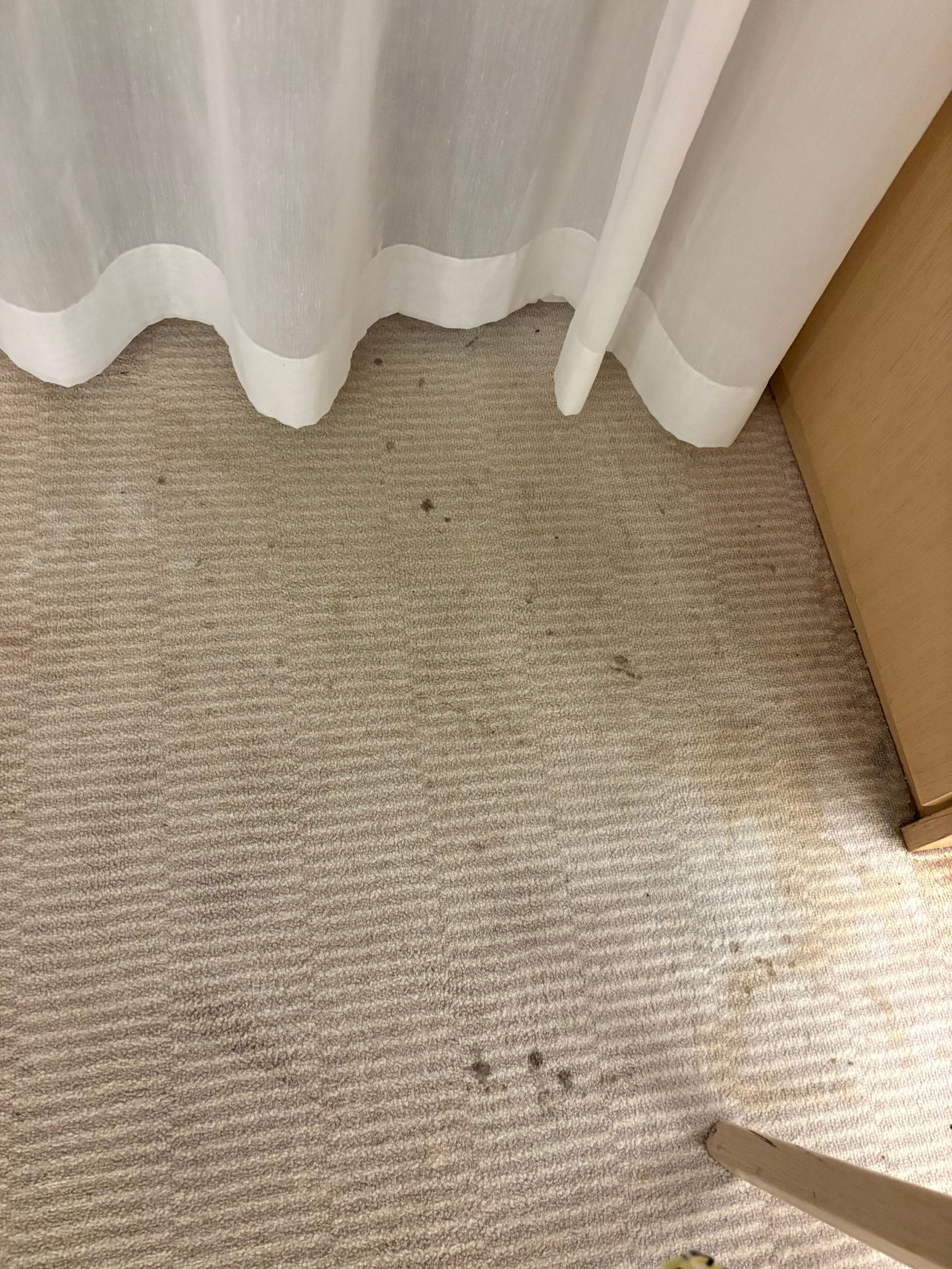 马斯特拉尔 度假酒店-旅行者