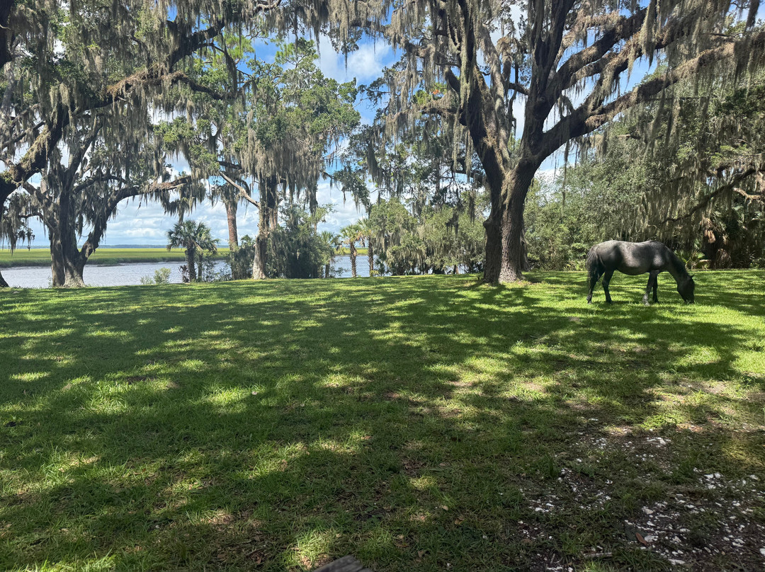 The Lands and Legacies Tour-Cumberland Island必去景点