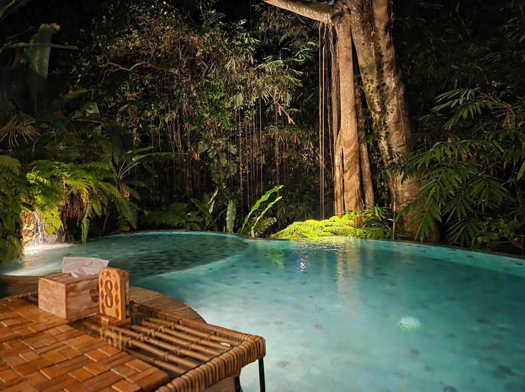 Sacred Canyon Ubud by GenuineHost