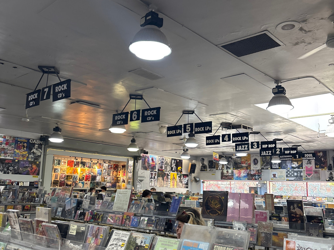 Amoeba Music-伯克利必去景点