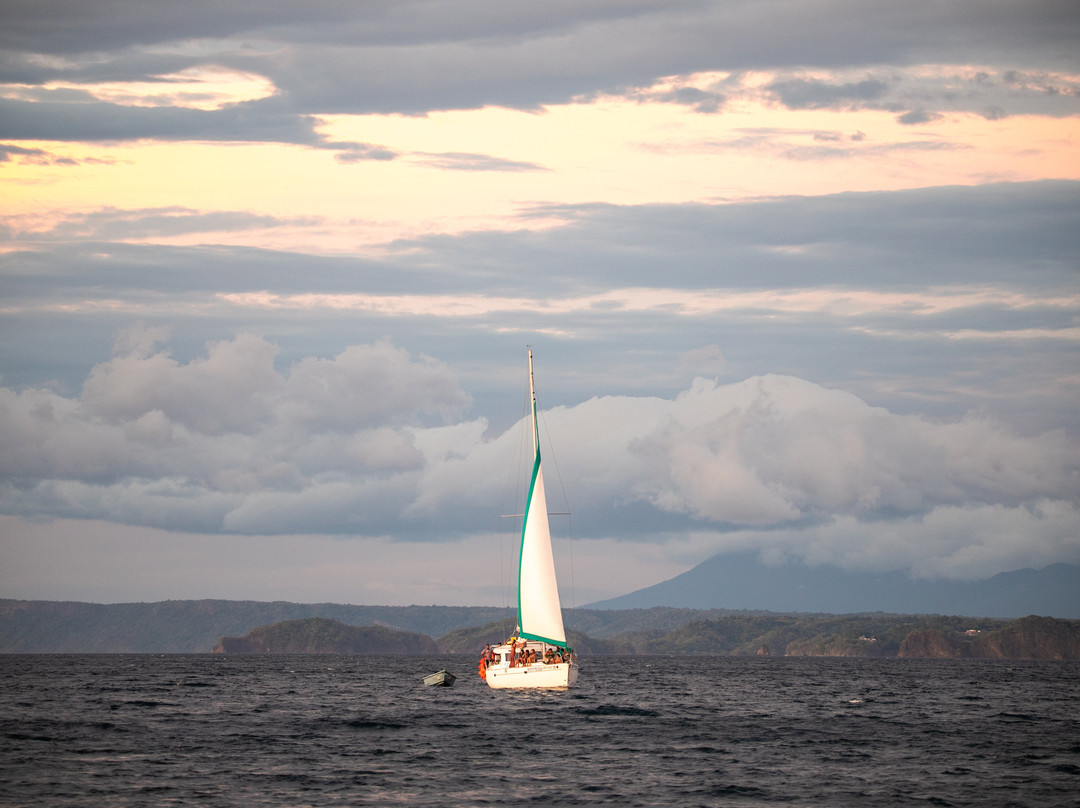 Scubacaribe, Costa Rica-Playa Matapalo必去景点