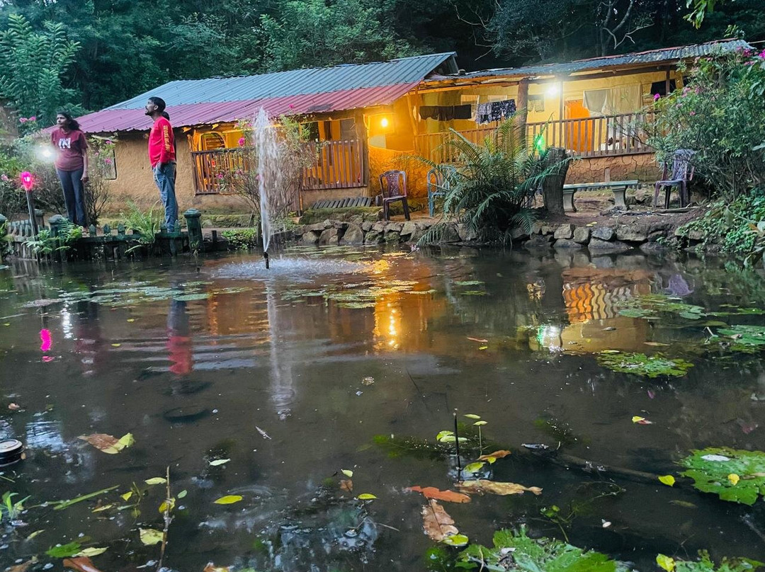 Eco Lodge Meemure & Adventure Park
