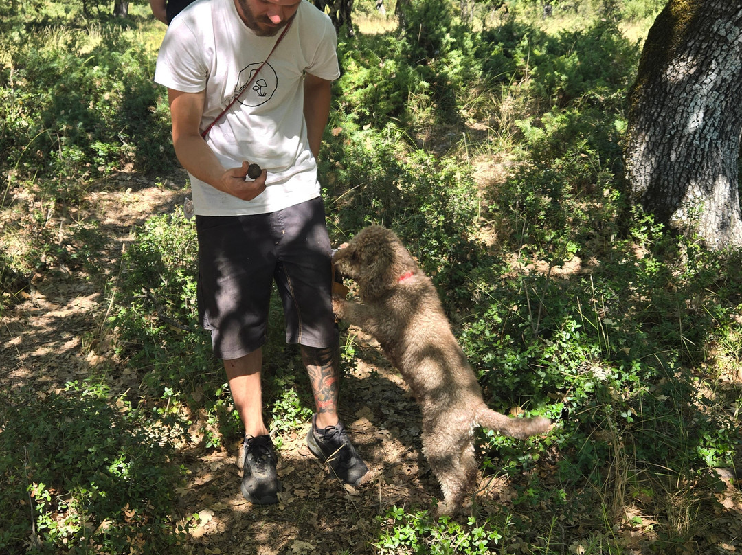 Truffle Hunting-卡兰巴卡必去景点