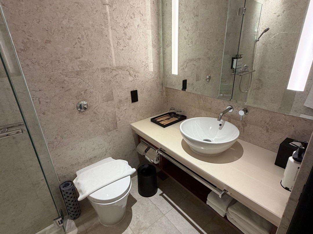 Novotel Singapore Robertson Quay主图