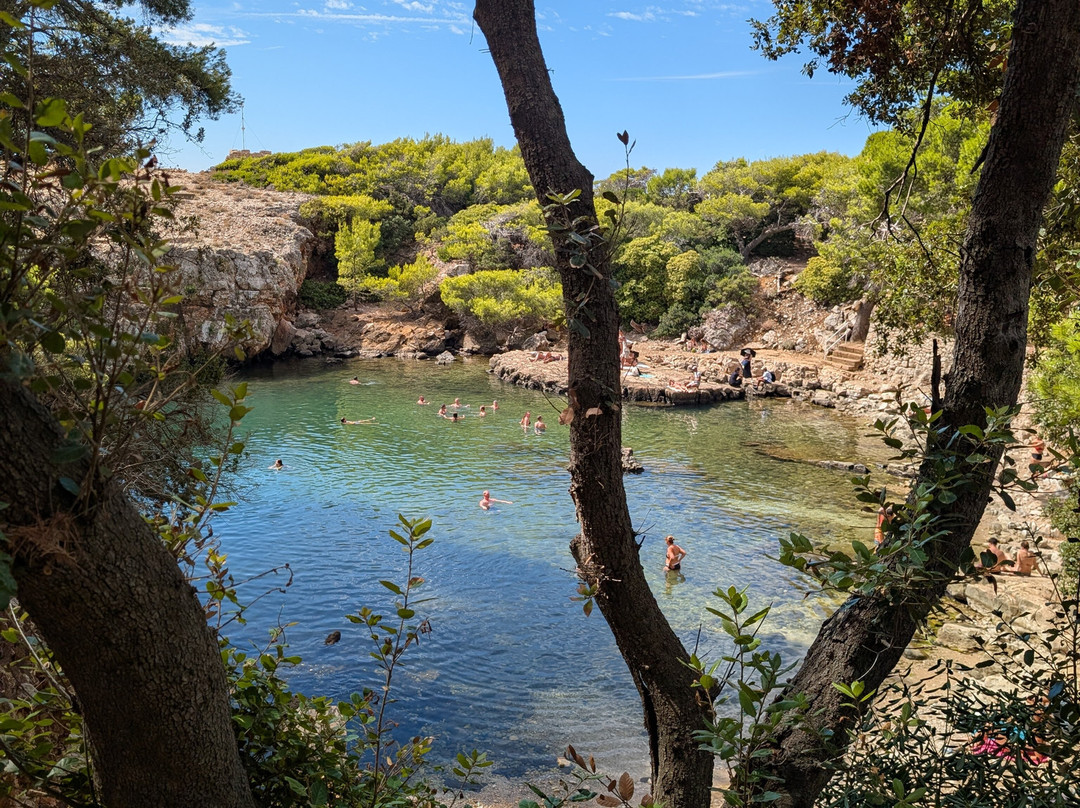 Lokrum Island-杜布罗夫尼克必去景点