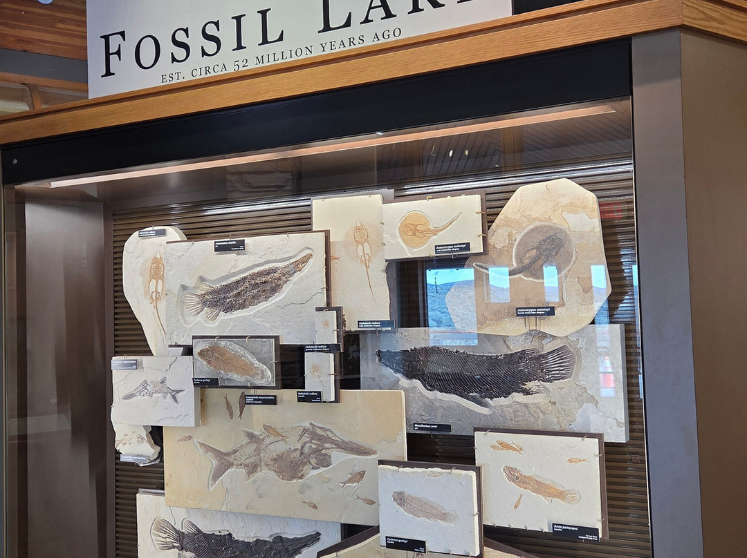 Fossil Butte National Monument-Kemmerer必去景点
