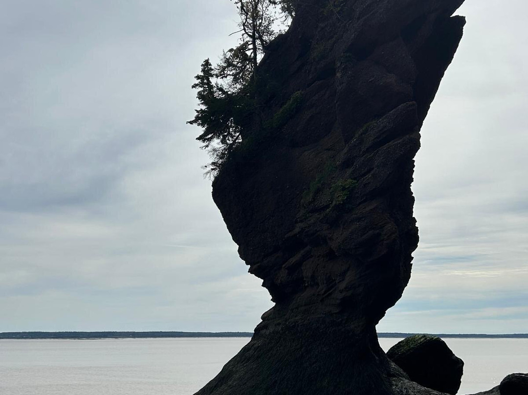 Hopewell Rocks-霍伯威尔角必去景点