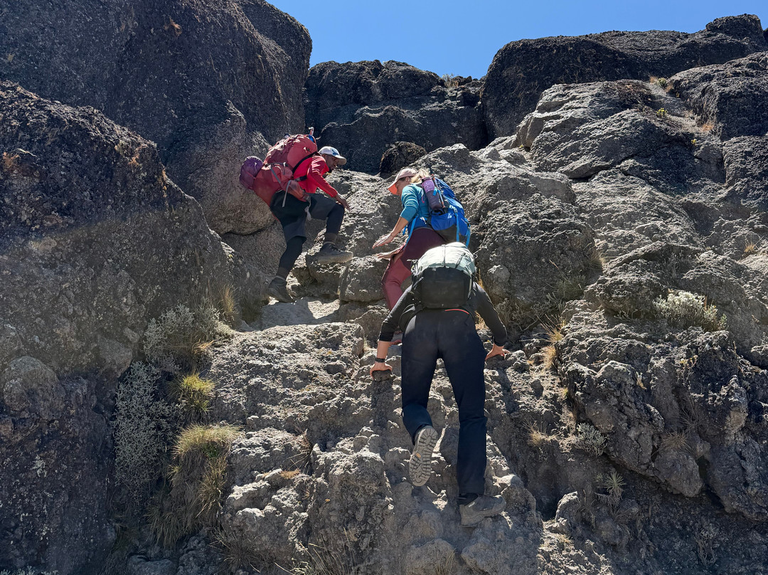 Zara Tanzania Adventures-莫西必去景点