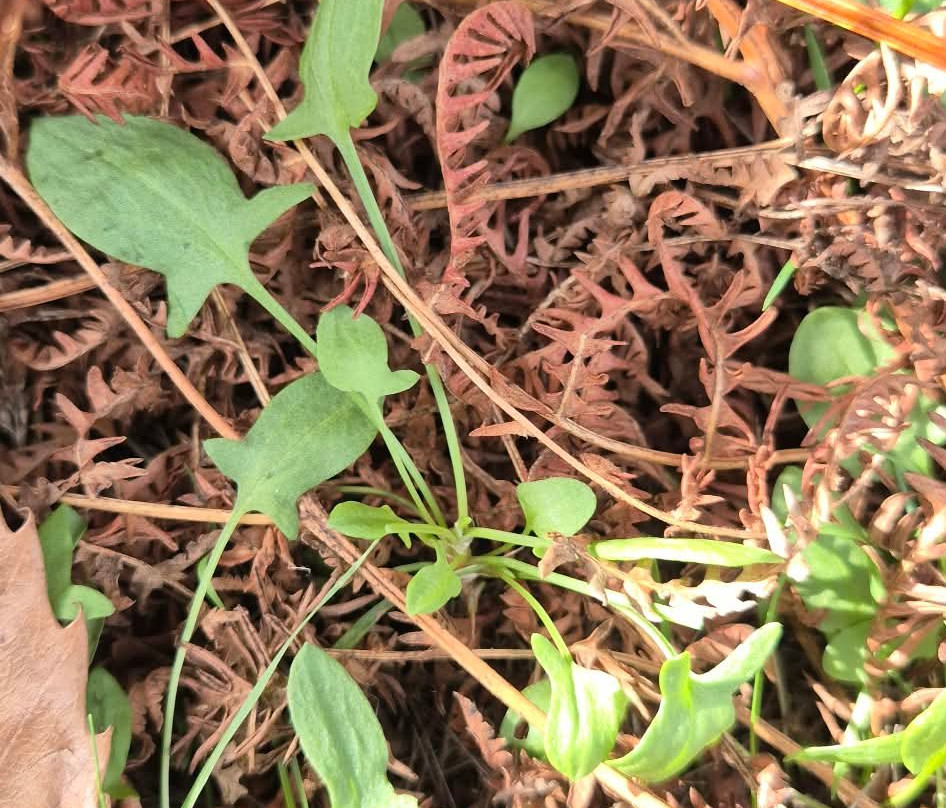 Wild Food Uk-Byford必去景点