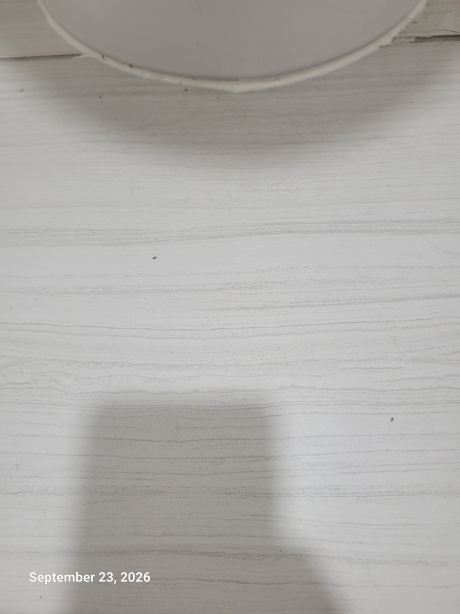 奥马哈I-80西南舒适酒店-旅行者