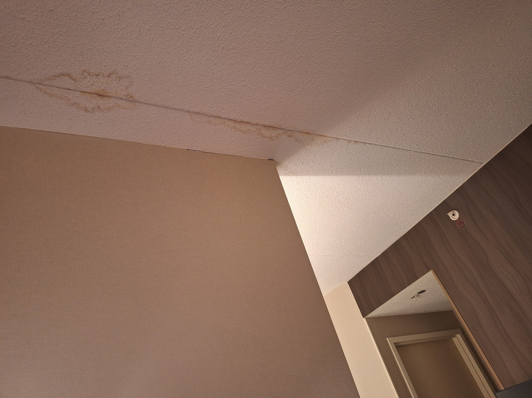 SpringHill Suites Cleveland Solon主图