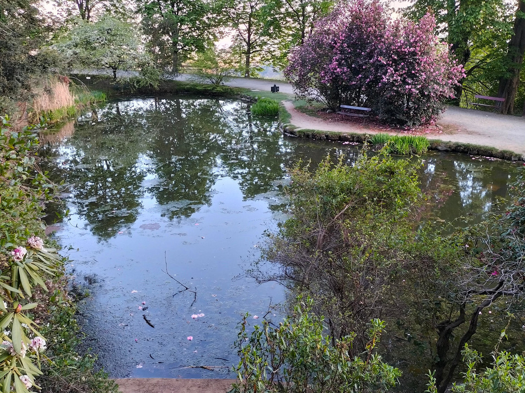 Parco della Burcina-Pollone必去景点