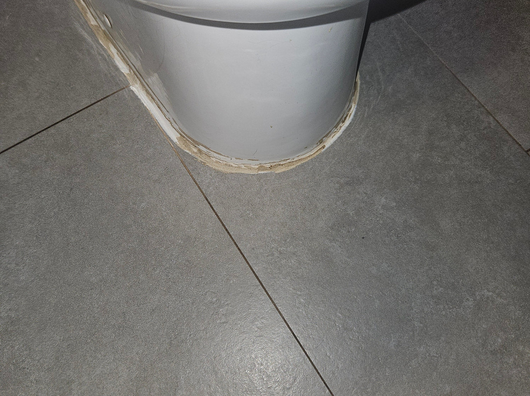 丽笙宫殿酒店博阿维斯塔 - 全包主图