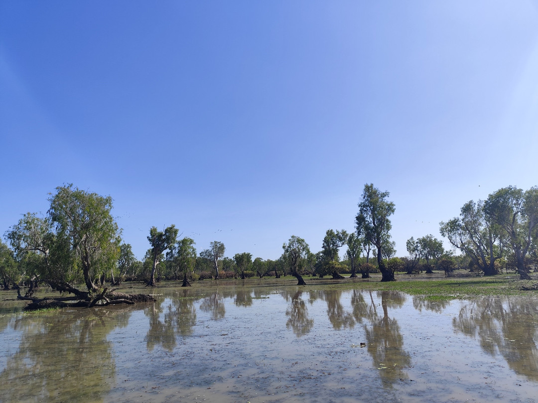 Wildlands Wetlands Safari Cruises-达尔文市必去景点
