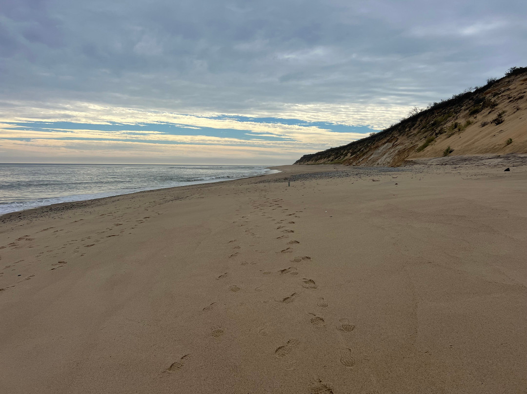 Marconi Beach-Wellfleet必去景点