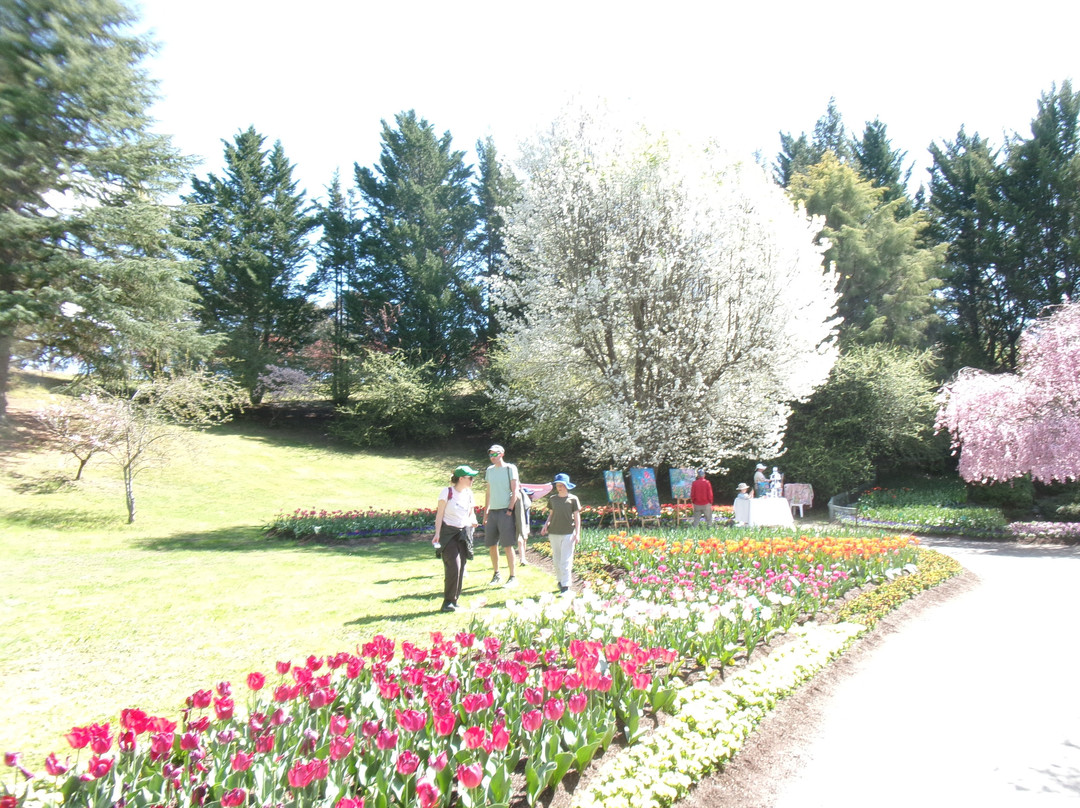 Tulip Top Gardens-Sutton必去景点