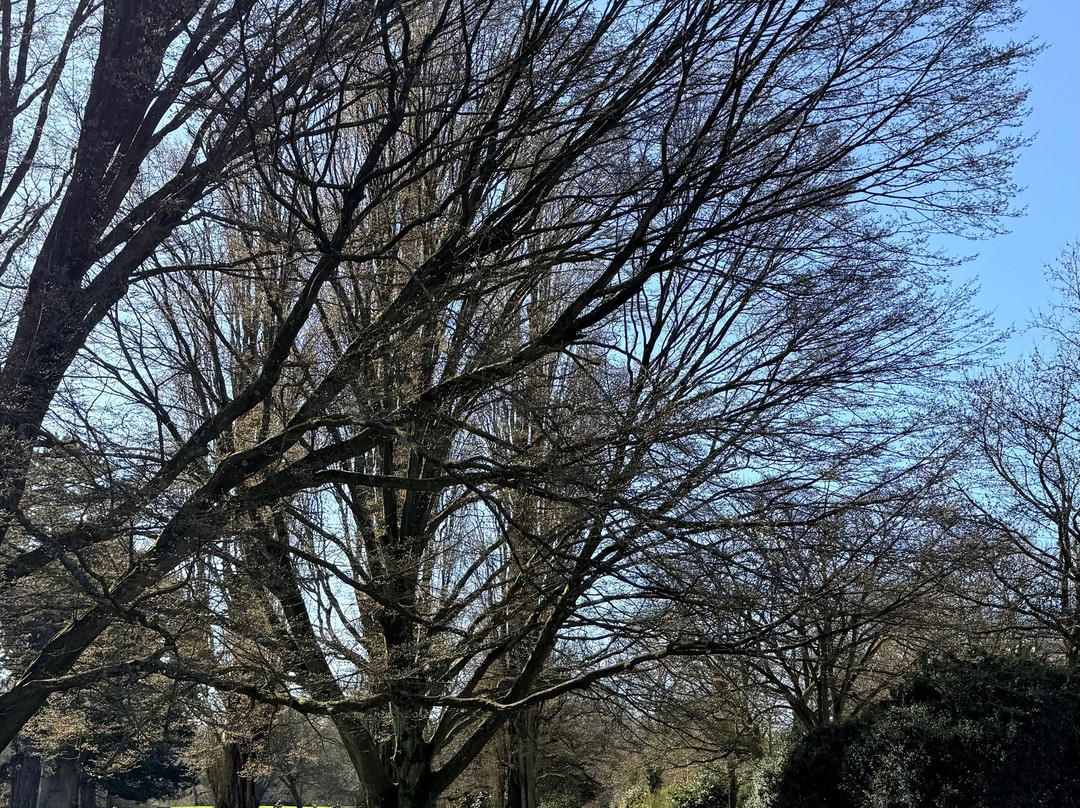 Parc Barbieux-鲁贝必去景点