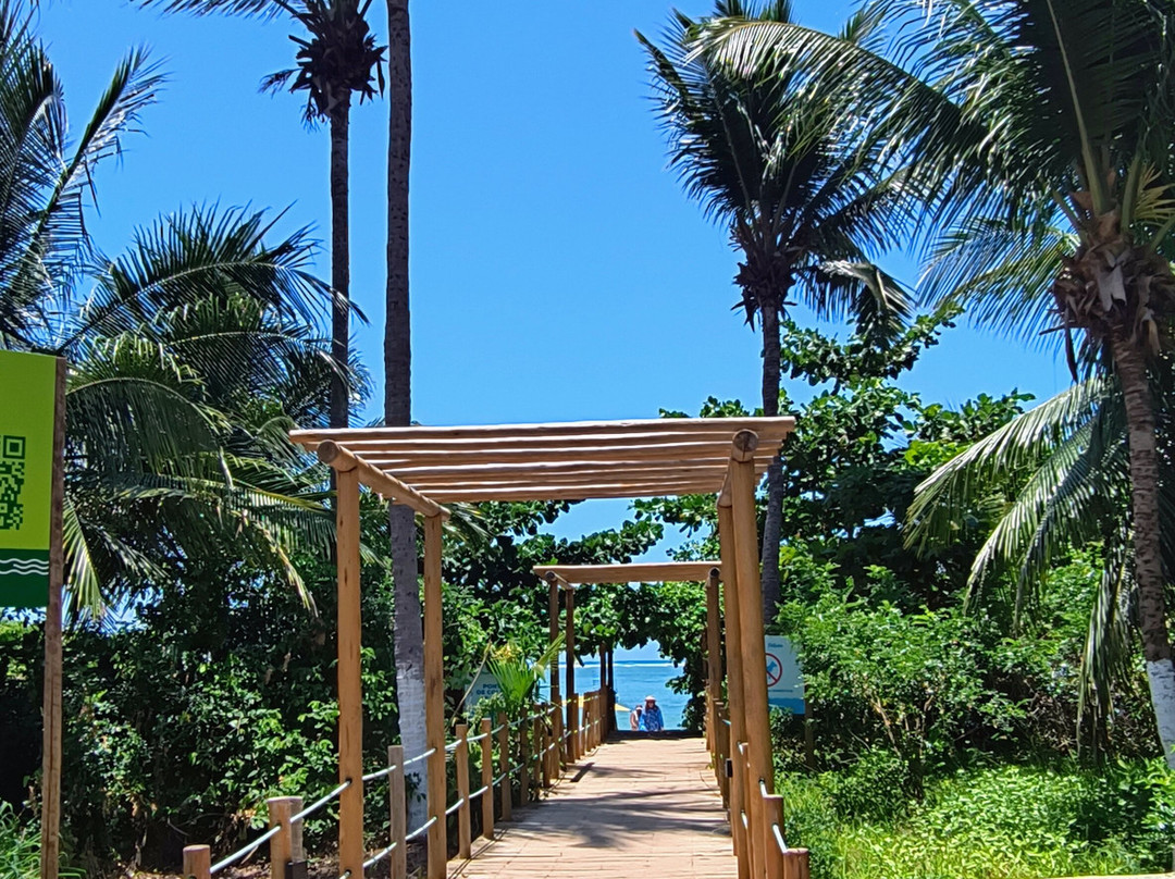 Patacho Beach-Porto de Pedras必去景点