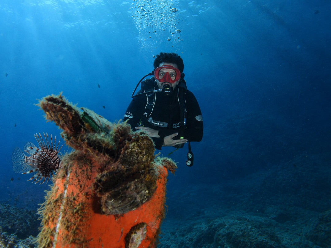 Kalypso Dive Center & School-雷斯蒙必去景点