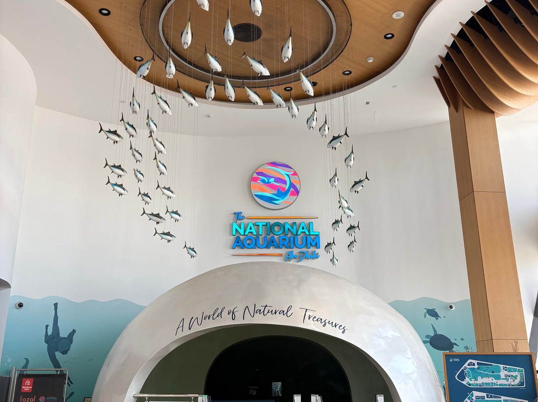 The National Aquarium Abu Dhabi-阿布扎比必去景点