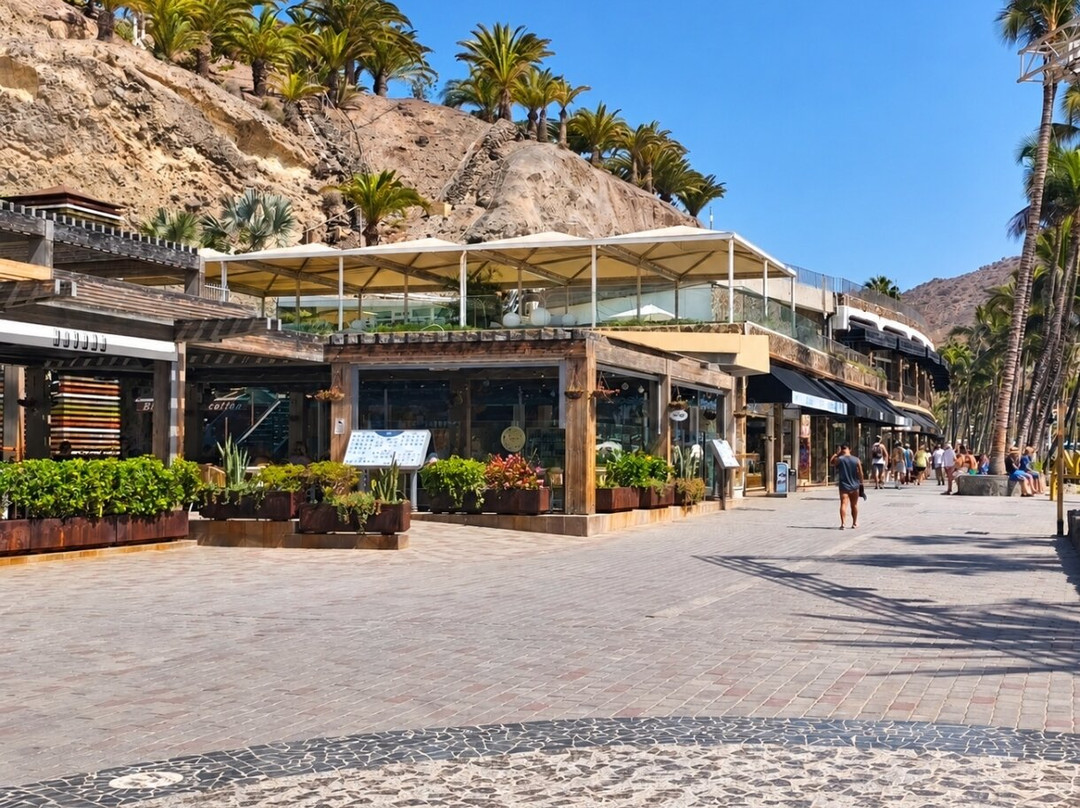 Playa Anfi del Mar-Barranco de la Verga必去景点