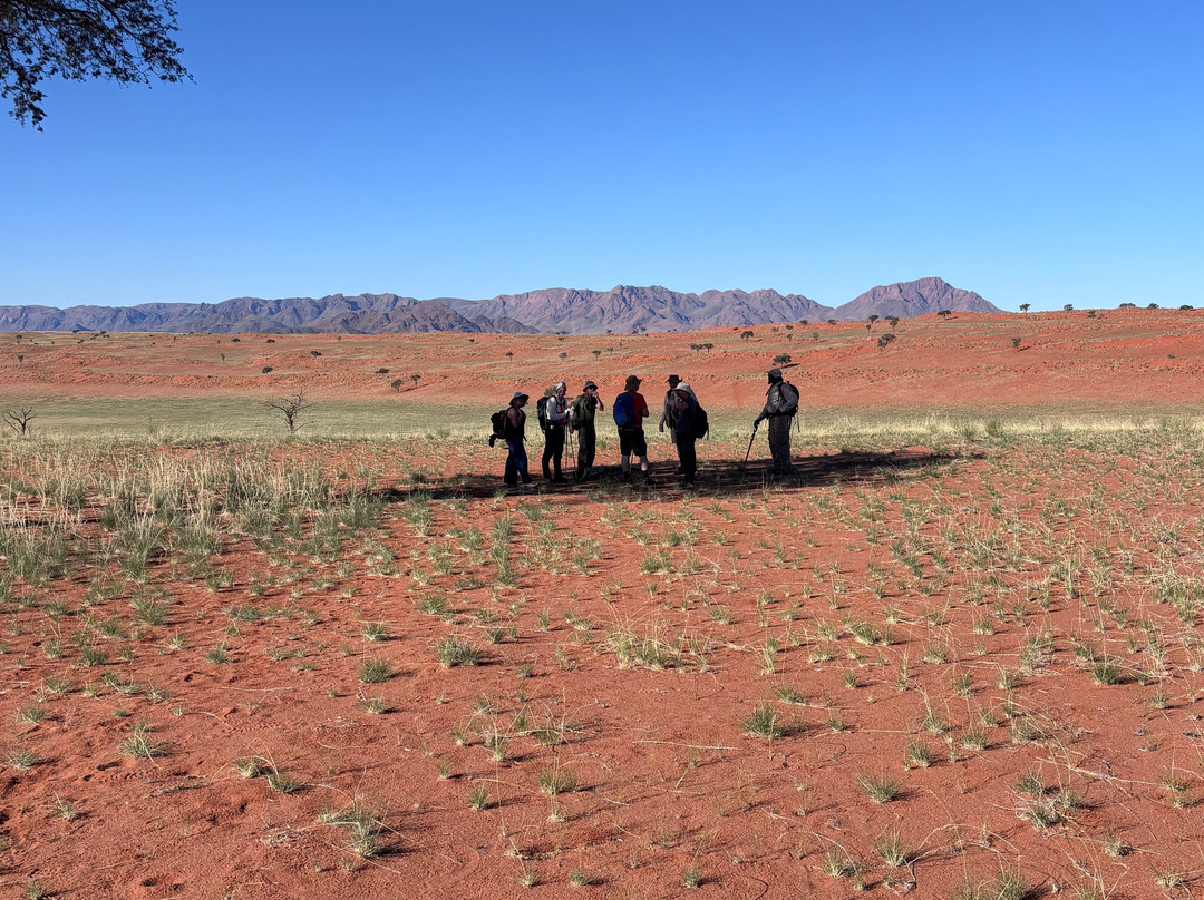 Tok Tokkie Hiking Trails-NamibRand Nature Reserve必去景点