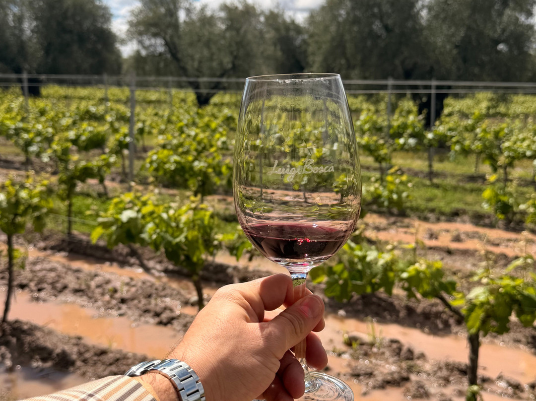 Finca El Paraíso - Bodega Luigi Bosca-Maipu必去景点