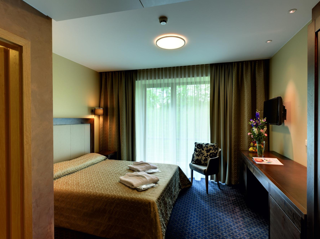 德鲁斯基宁凯酒店住宿-Druskininkai Hotel