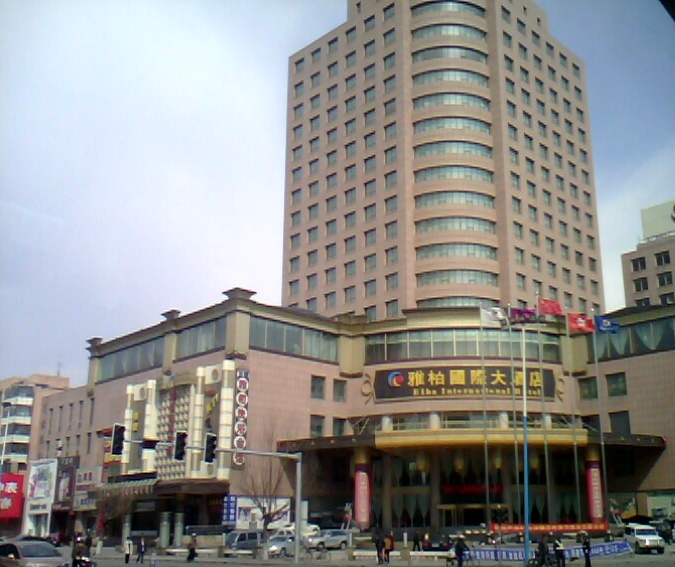 雅柏国际大酒店-客卧