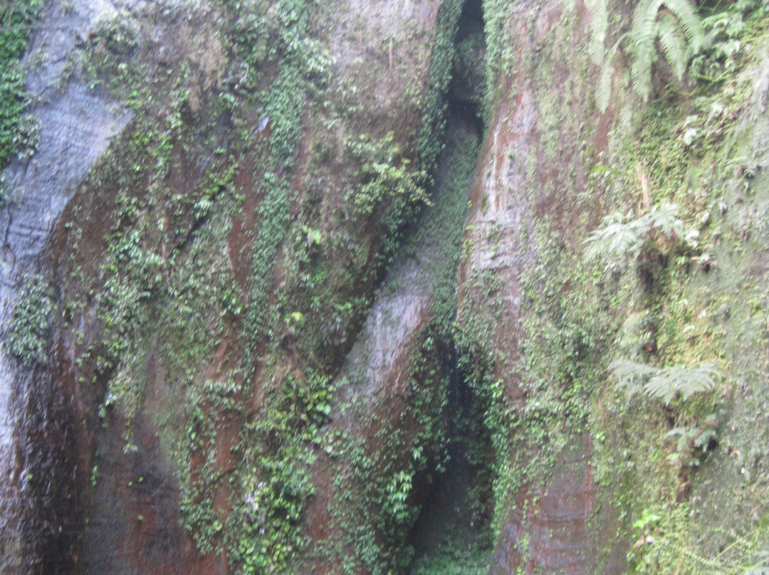 贵州燕子岩景点图片