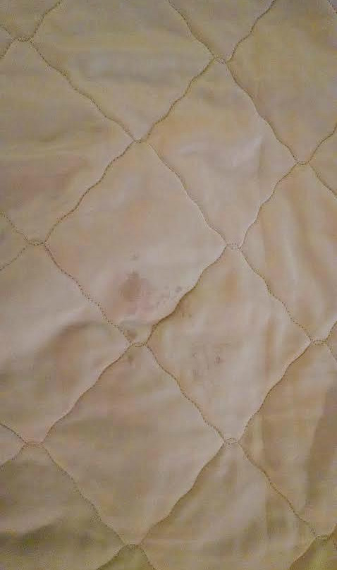 曼切斯特美国最有价值旅馆