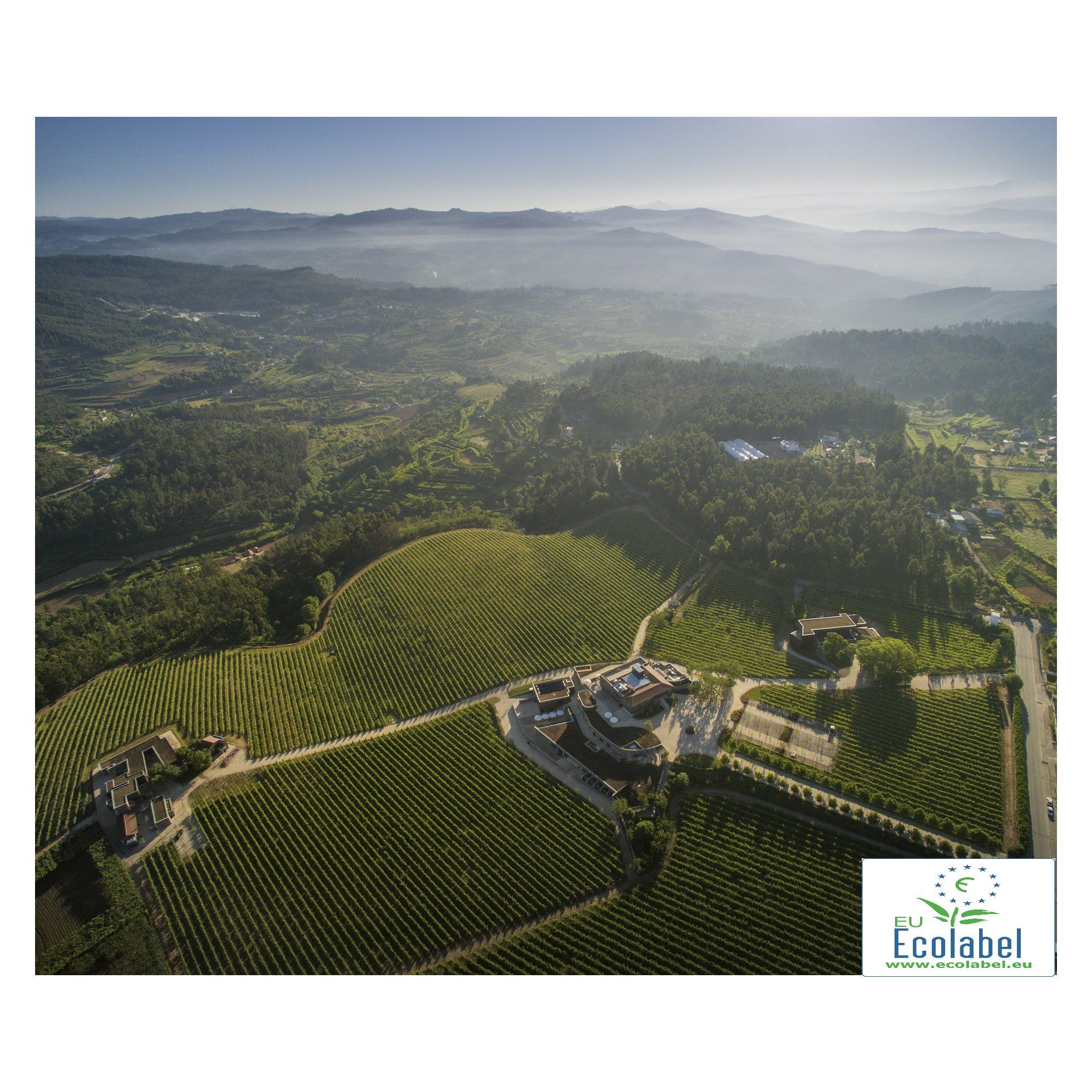 Monverde Wine Experiene Hotel-官方