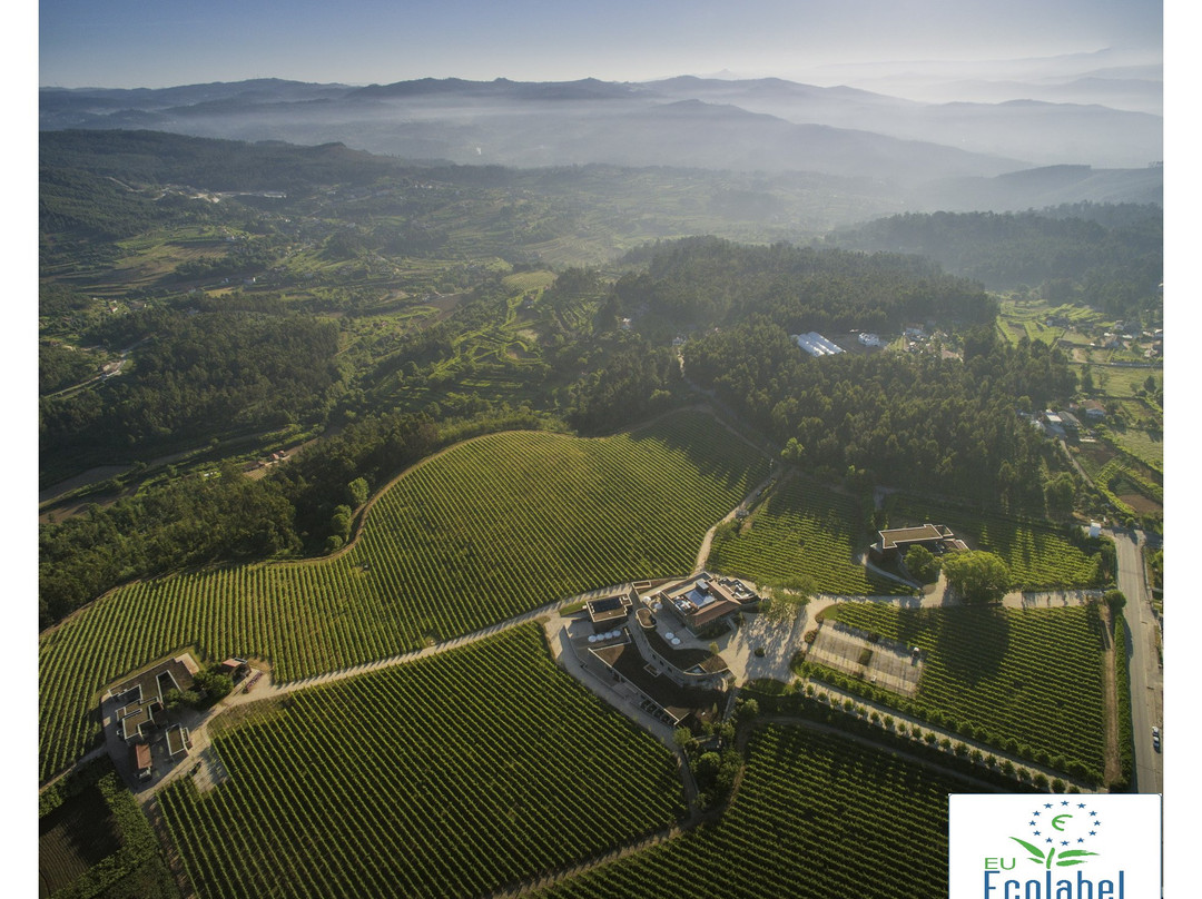 Monverde Wine Experiene Hotel主图