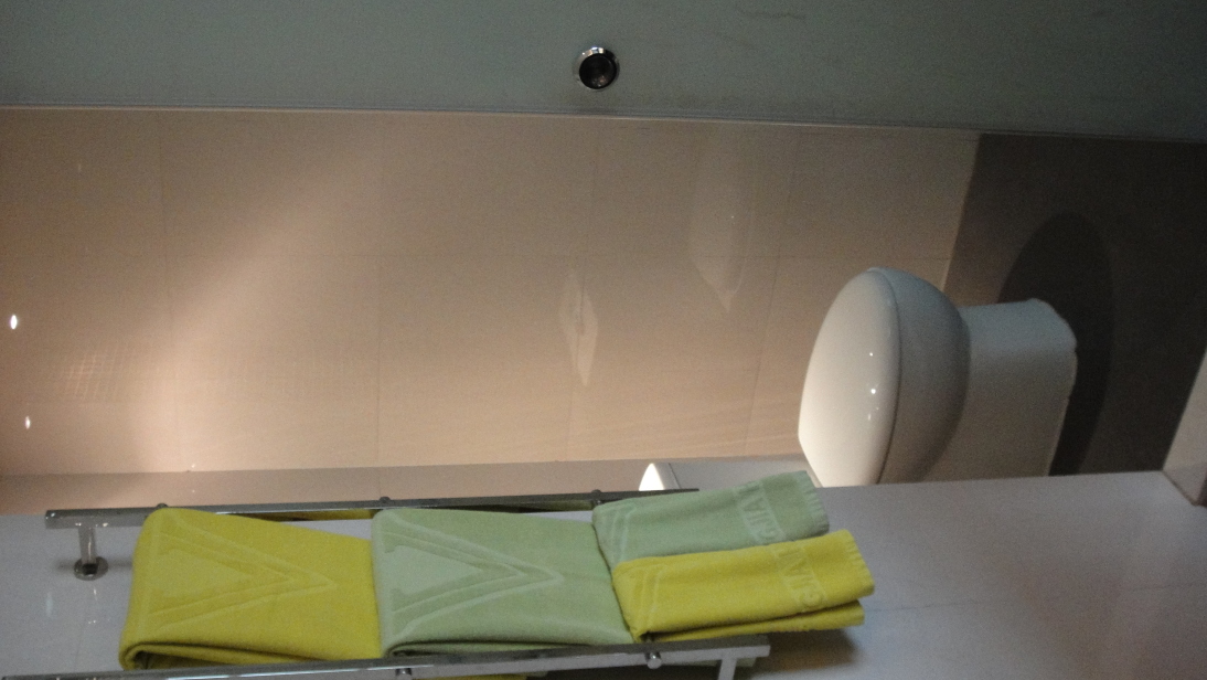 胜家玫瑰酒店-客卧