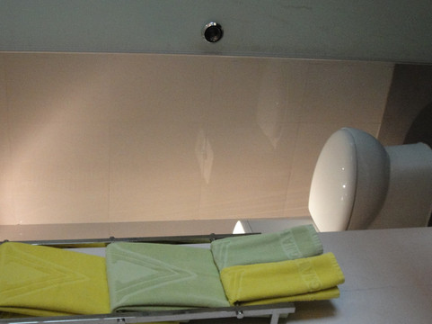 胜家玫瑰酒店主图