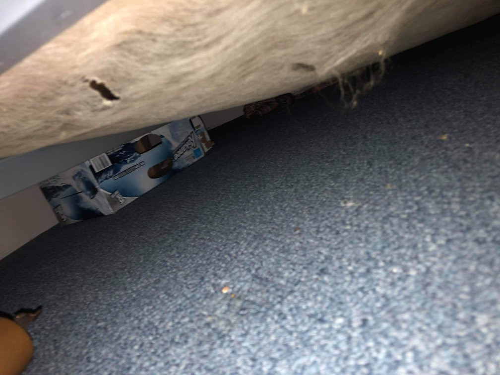 皇家比池汽车旅馆&码头