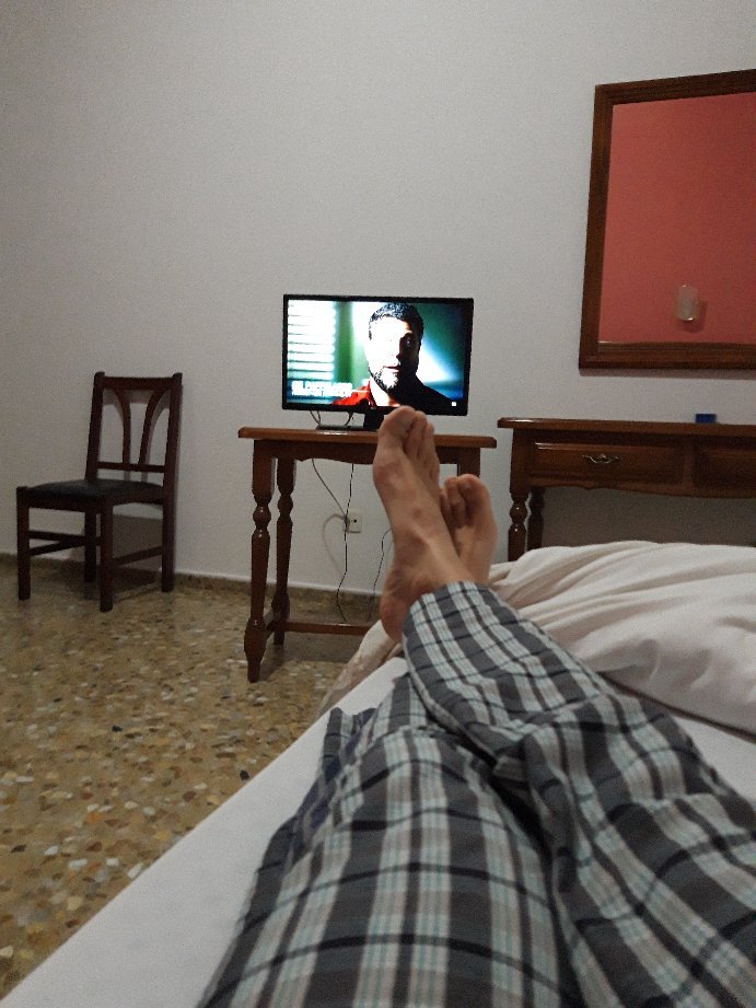 Hotel Reina Isabel-官方