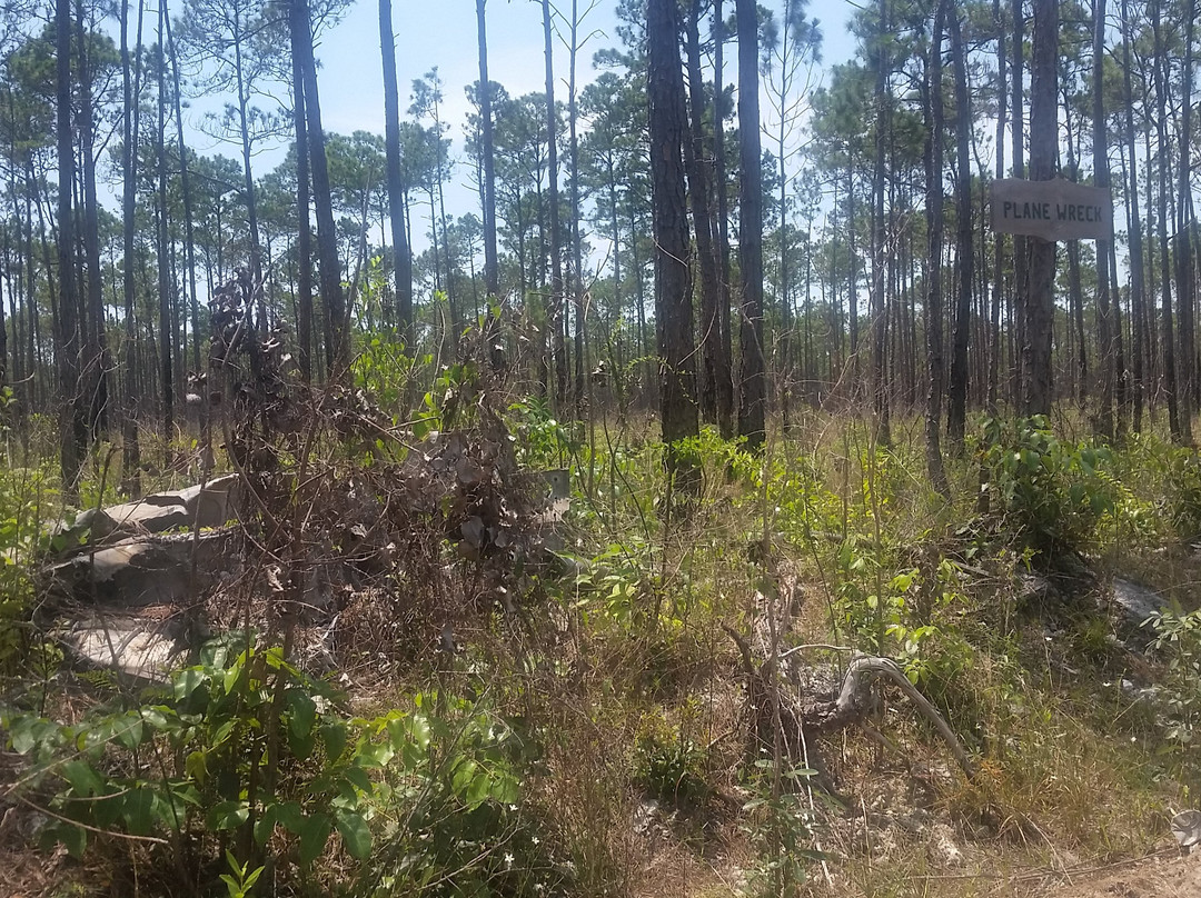 Abaco National Park景点图片