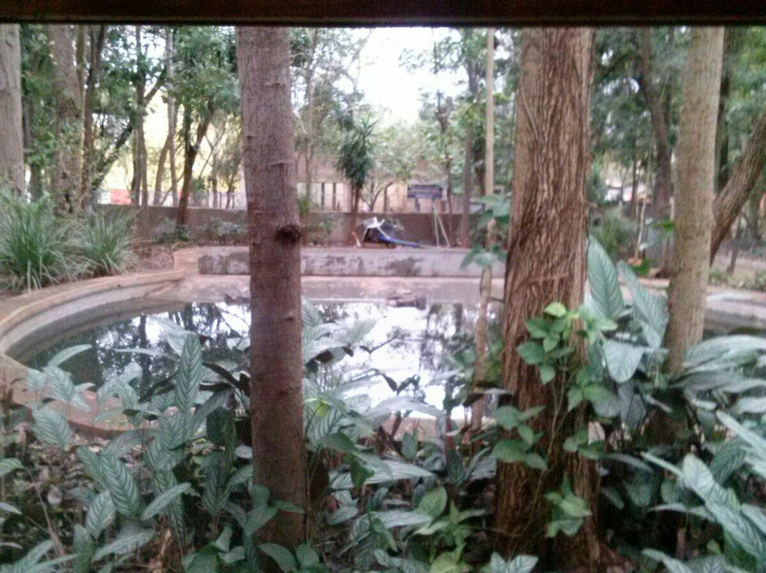 Zoológico de Catanduva