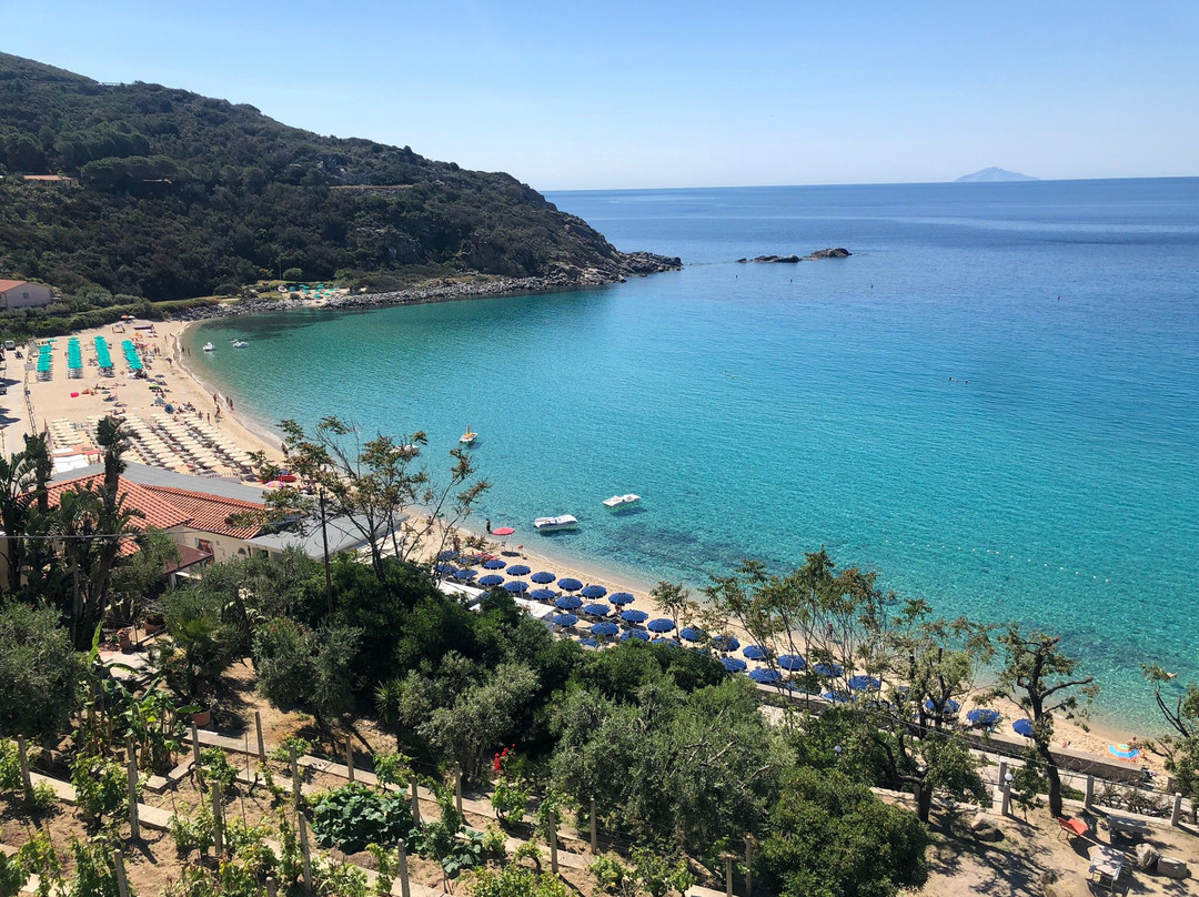 Spiaggia di Cavoli景点图片