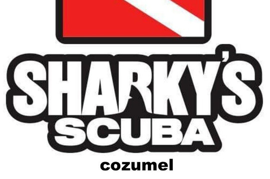 Sharky's Scuba Cozumel-San Miguel de Cozumel必去景点